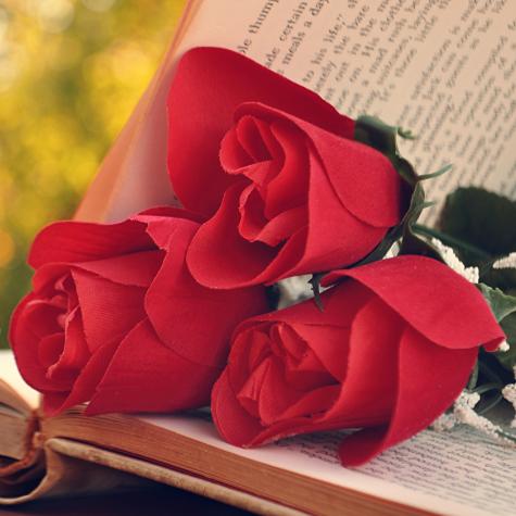 Best Hindi Shayari??