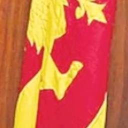 ලංකාවේ කොල්ලො කෙල්ලෝ
