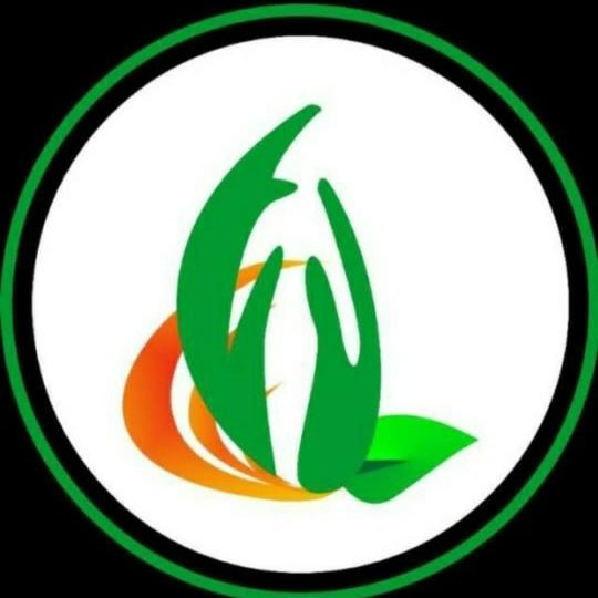 GREEN GLORY 01