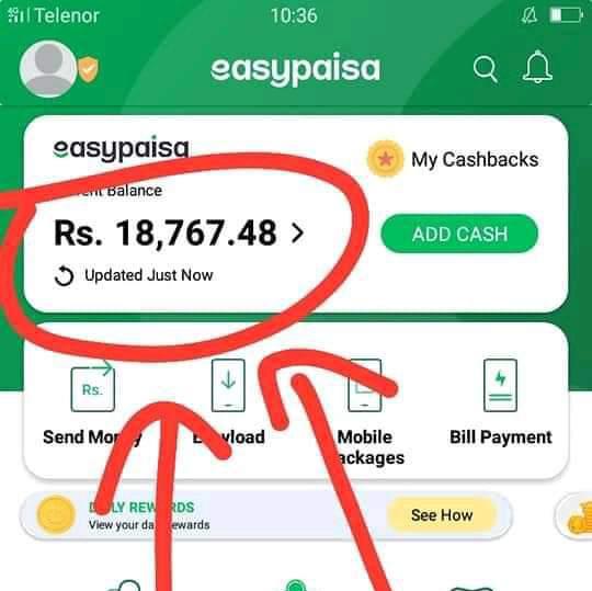 Hussain real earning