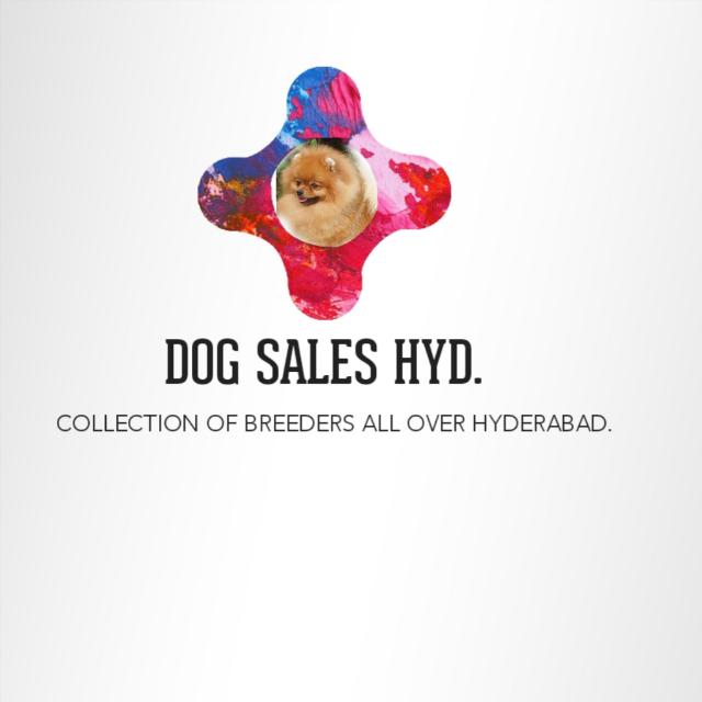 DOG SALES . ??