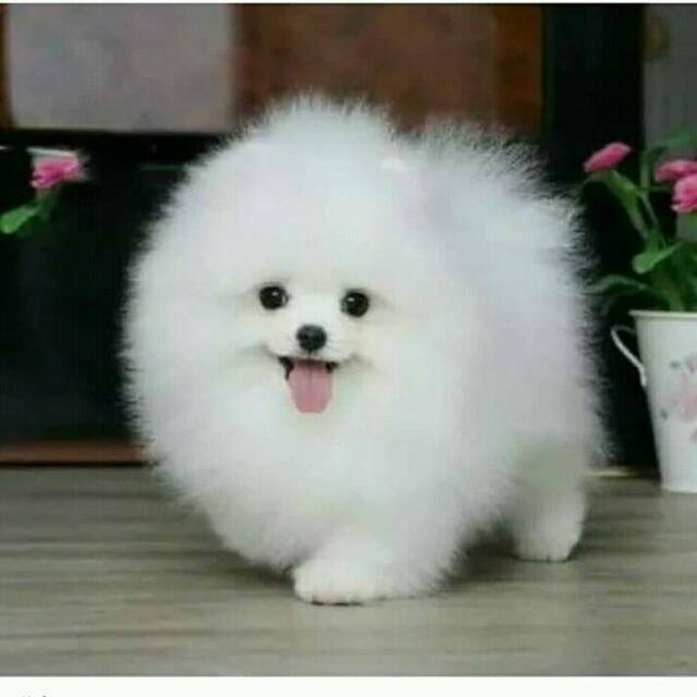 Lovely..????‍♀friends