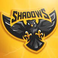 Shadow account