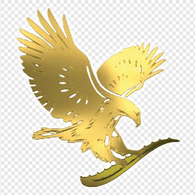 Forever living products Whatsapp group