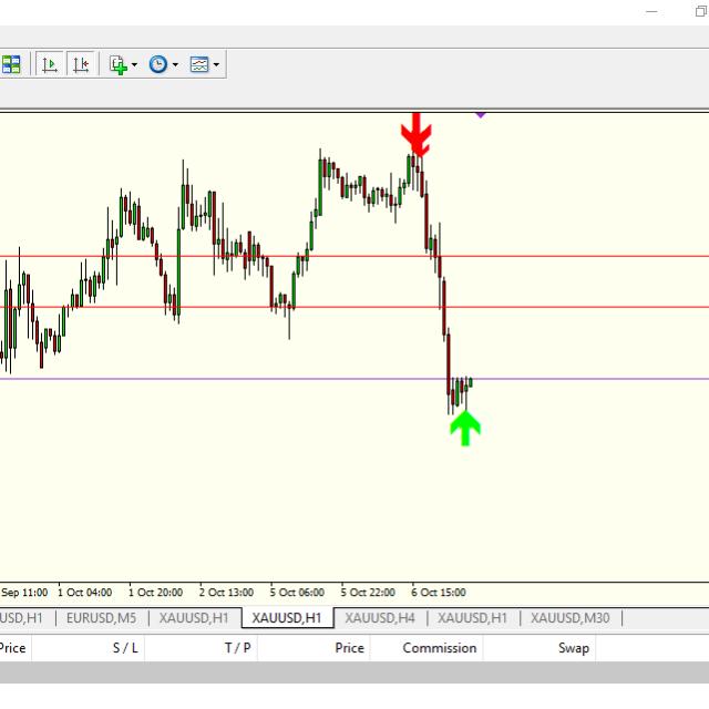?FOREX ACCOUNT MANAGER?