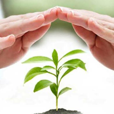 Save trees and save life Whatsapp group