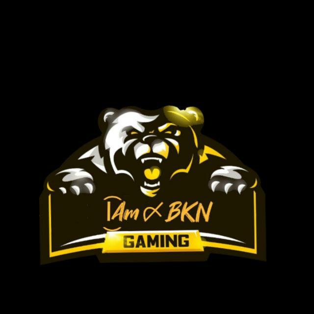 RJ07 GAMING YT