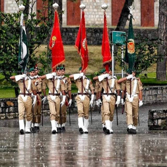 PMA L/C 149⚔️