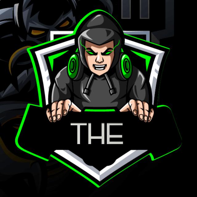 TEAM HIDE ESPORTS ?