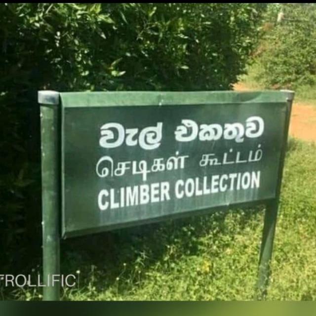 ?අපේ Hub 11??