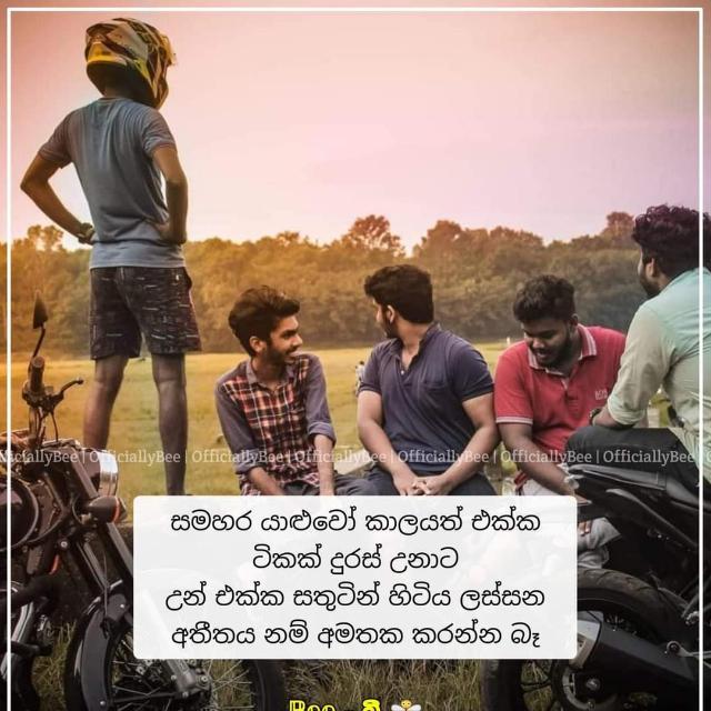 ?⃟࿔⃝❤️සහෝදර බැදීම්?࿔⃝༒⃝❤️᭄