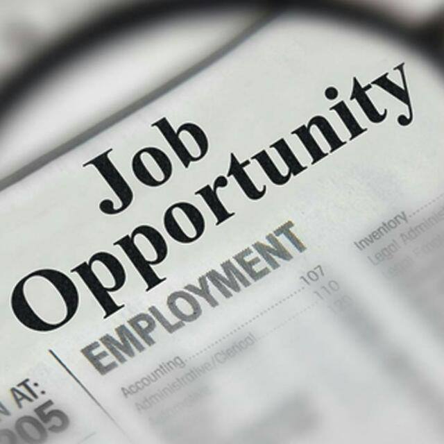 Job Opportunity 
