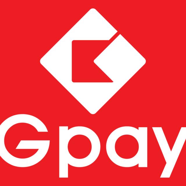 INDIA GPAY TRADING INVESTMENT