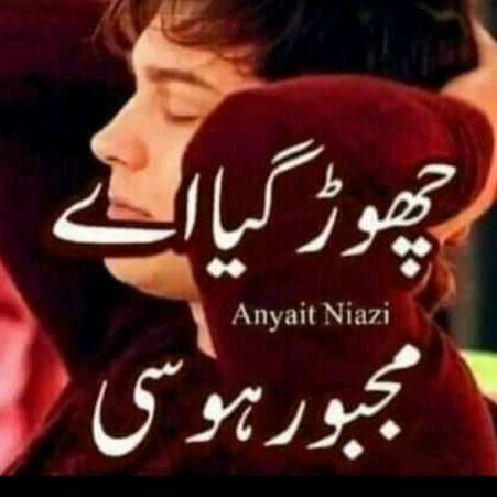 ?Sarif ladke  funny ?