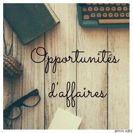 OPPORTUNITÉS D'AFFAIRES?