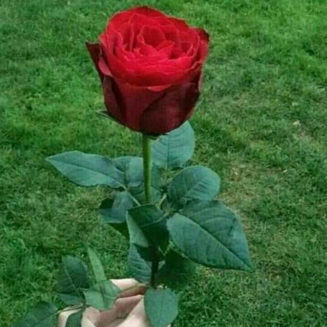 You and me Whatsapp group