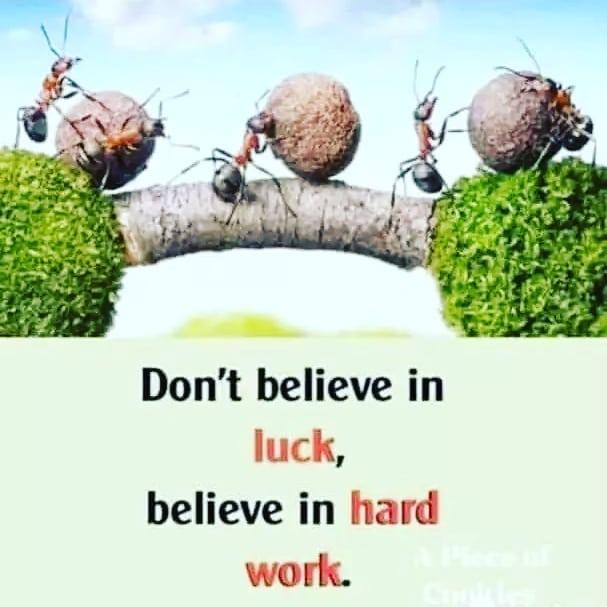 job updats