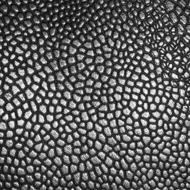 LEATHER WORLD