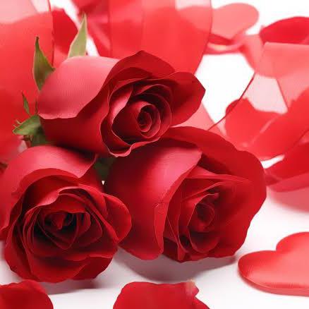 Beautiful Love 4??❤️❤️???️❤️