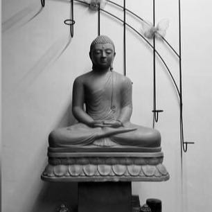 ☸️ දහම තුළින් බුදුන් දකිමු ☸️