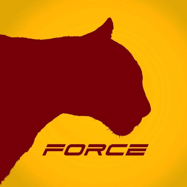 Meta force ?