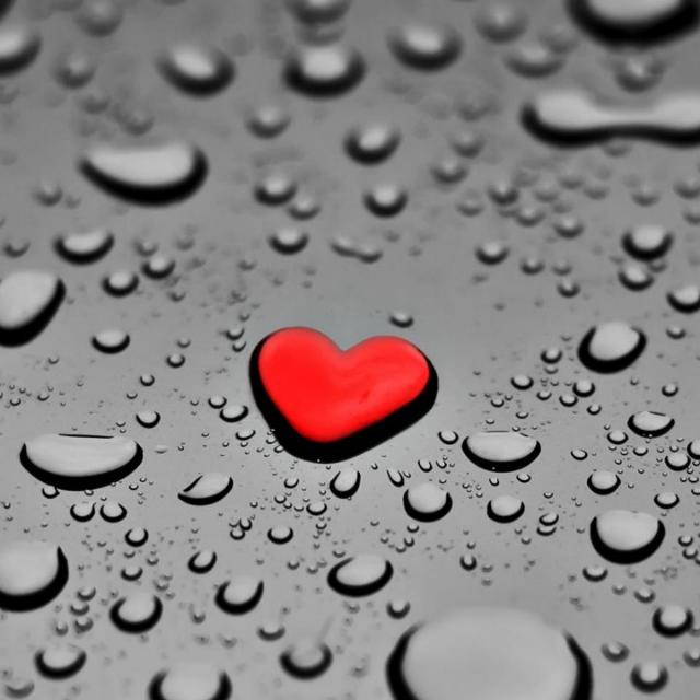 Sweet N frinds