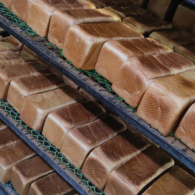 Bakery job