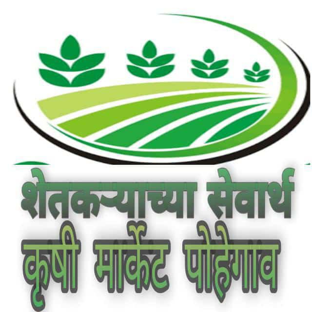 कृषी मार्केट संगमनेर *