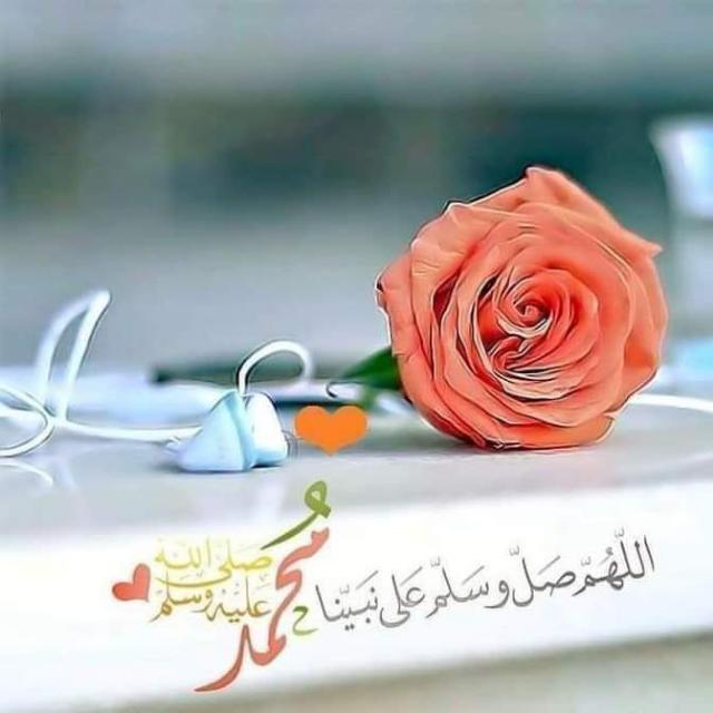 ??اسلام کے پھول??