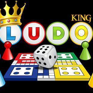 ???LUDO BETTING GROUP ???