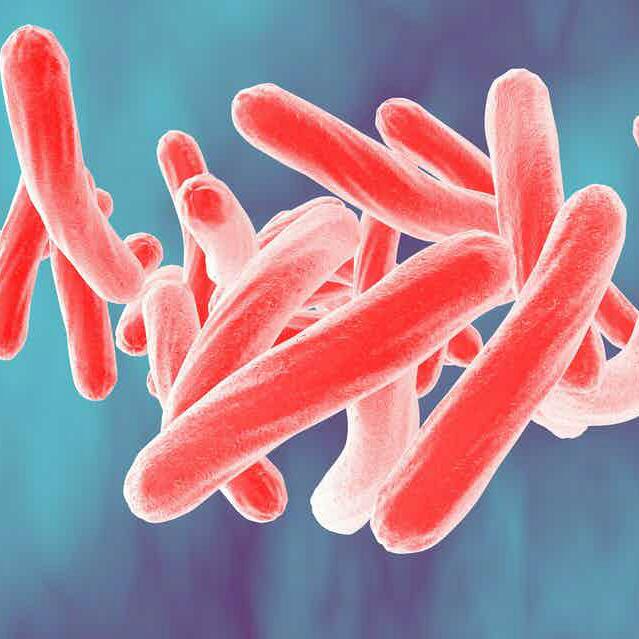 Go Diseases भागो बीमारी