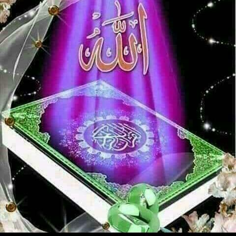 ??Online Quran Academy??
