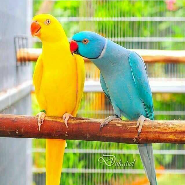 Friends and forever 