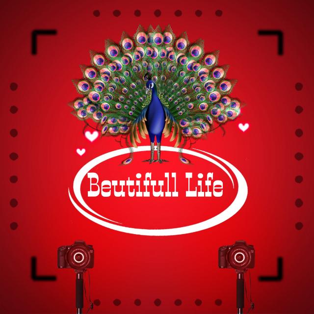 ??Beutifull Life ??