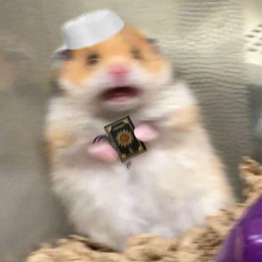 ?????? ?????? ?
