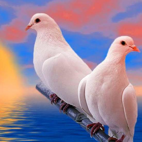❤اسلام?کی?باتیں❤