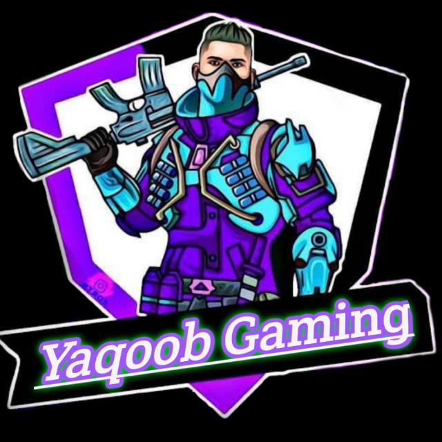 The Noob