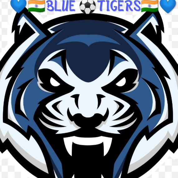 ?????BLUE⚽TIGERS?????