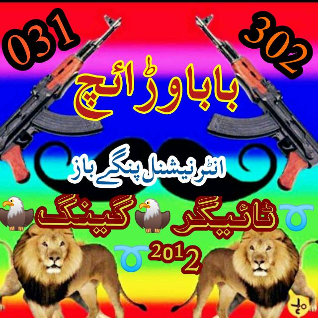 ➰ٹائیگر?گینگ?