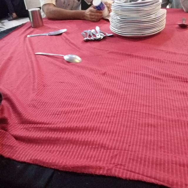 ?? پاکستان زندہ باد ??