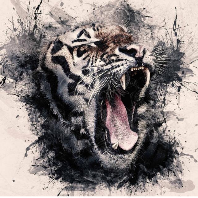Tiger group # Karnataka
