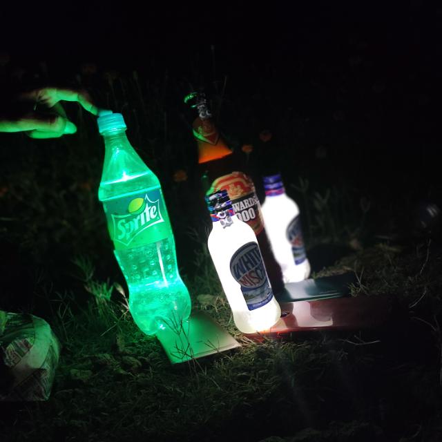 ভদ্র ঘরের ছেলেরা?