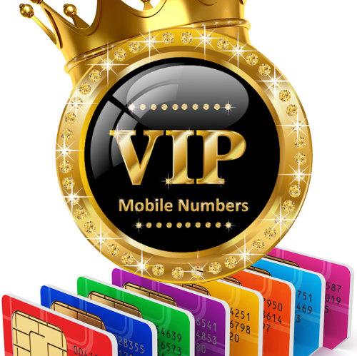 VIP Fancy Number
