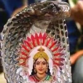 ?જય. ચેહર માતાજી?