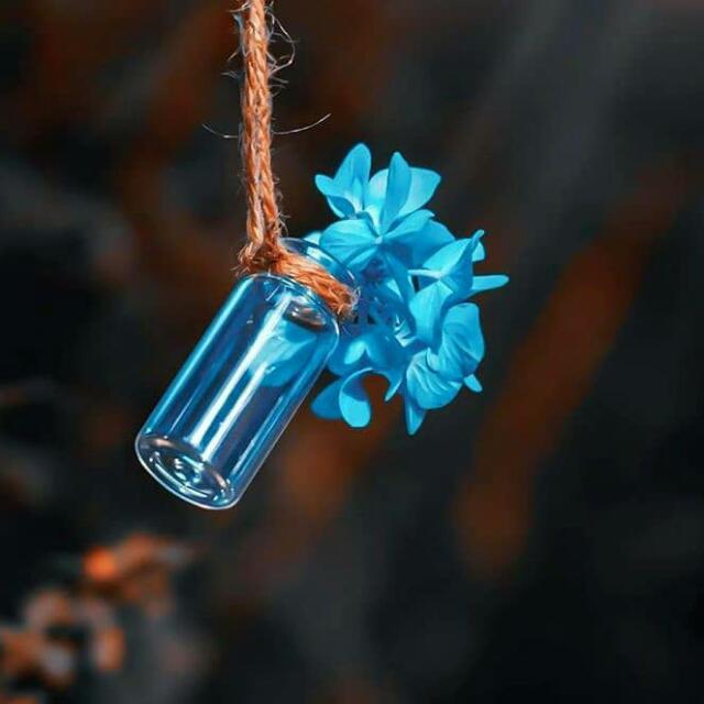 Naturel life ????
