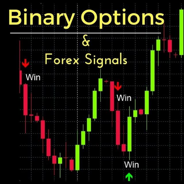 FOREX GURU BINARY FX