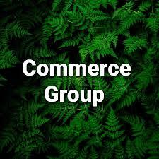 STUDY GROUP FOR COMMERCE?‍?