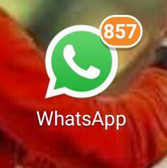 Yaara da group