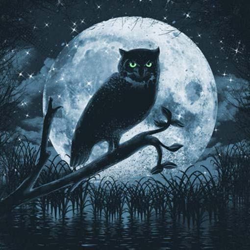 ?paranormal ?