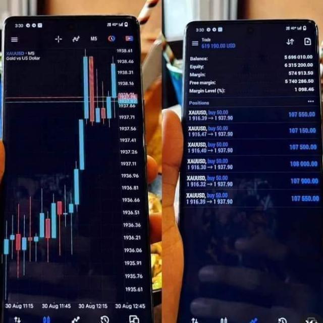 FOERX GOLD SIGNAL Whatsapp group